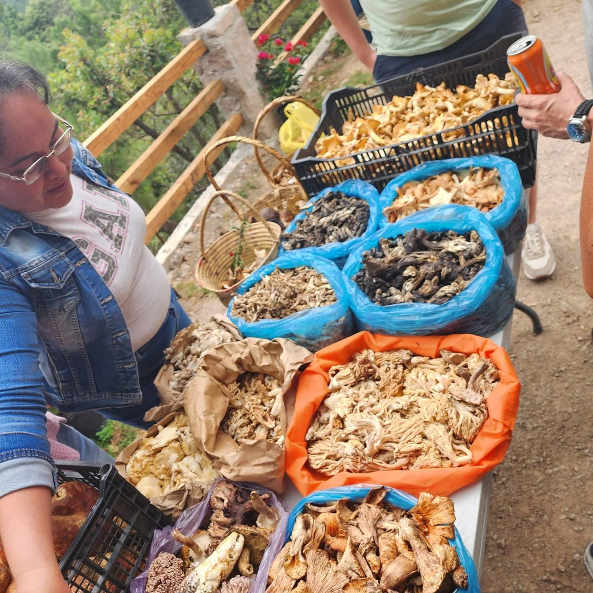Nanacatera del Estado de México con la cosecha de hongos silvestres en el mercado fungívoro de Fungidencias
