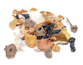 Mix de hongos silvestres deshidratados mexicanos 100 g — Simbiosis