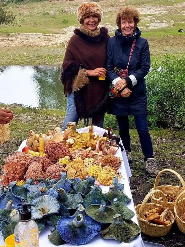 Descubrimiento en campo