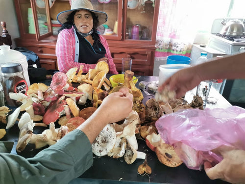 Nanacatera con cosecha de hongos silvestres