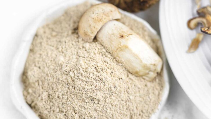 Harina de Setas — 1kg