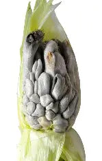 Harina de Huitlacoche — 1kg