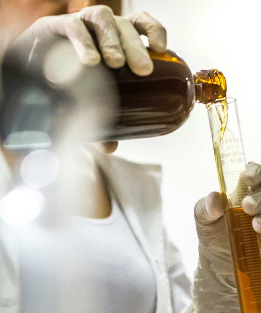 Investigacion actual en hongos y medicina