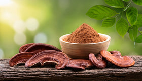 Reishi