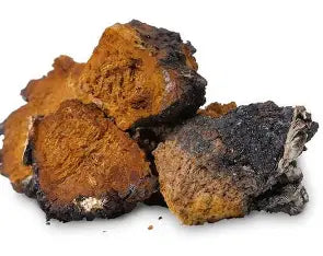 Tintura Sistema Inmunológico — Chaga, Reishi y Cola de Pavo