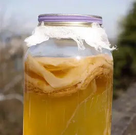 Frasco de kombucha con SCOBY