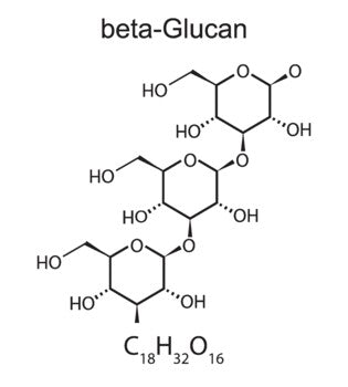Beta-glucanos de hongos en oncologia