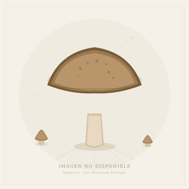 Serigrafía 'Muerte Fungi' — obra original de César Kevin Pérez Pacheco, arte fúngico