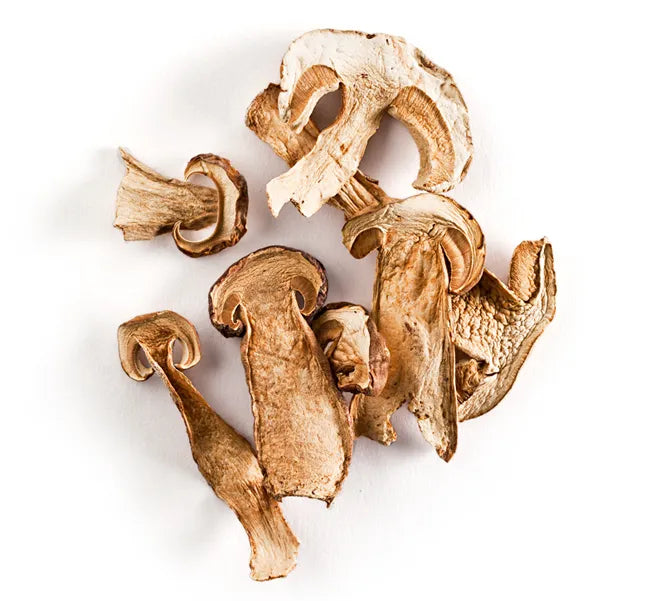 Porcini Deshidratado Silvestre — 1kg